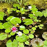 With Garden In Sankt Vith Сasa de vacaciones *