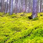 With Garden In Sankt Vith St. Vith