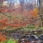 Сasa de vacaciones With Garden In Sankt Vith *