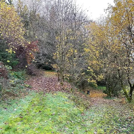 With Garden In Sankt Vith Prázdninový dům St. Vith