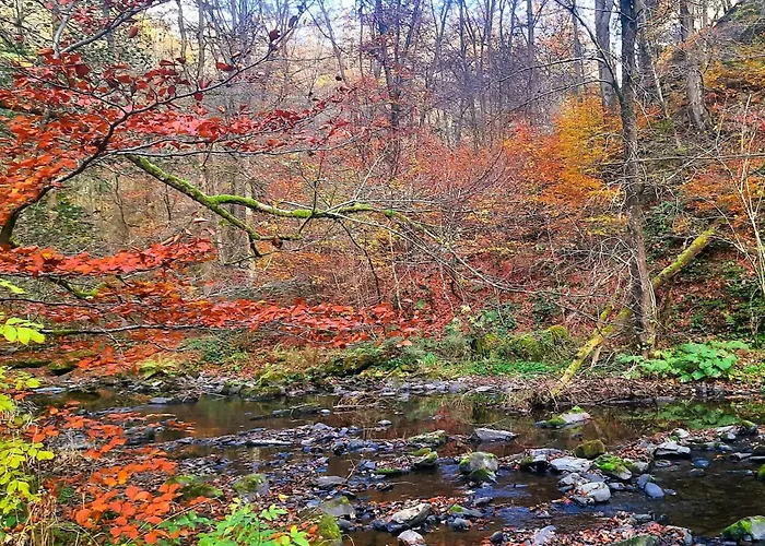 Hébergement de vacances With Garden In Sankt Vith *